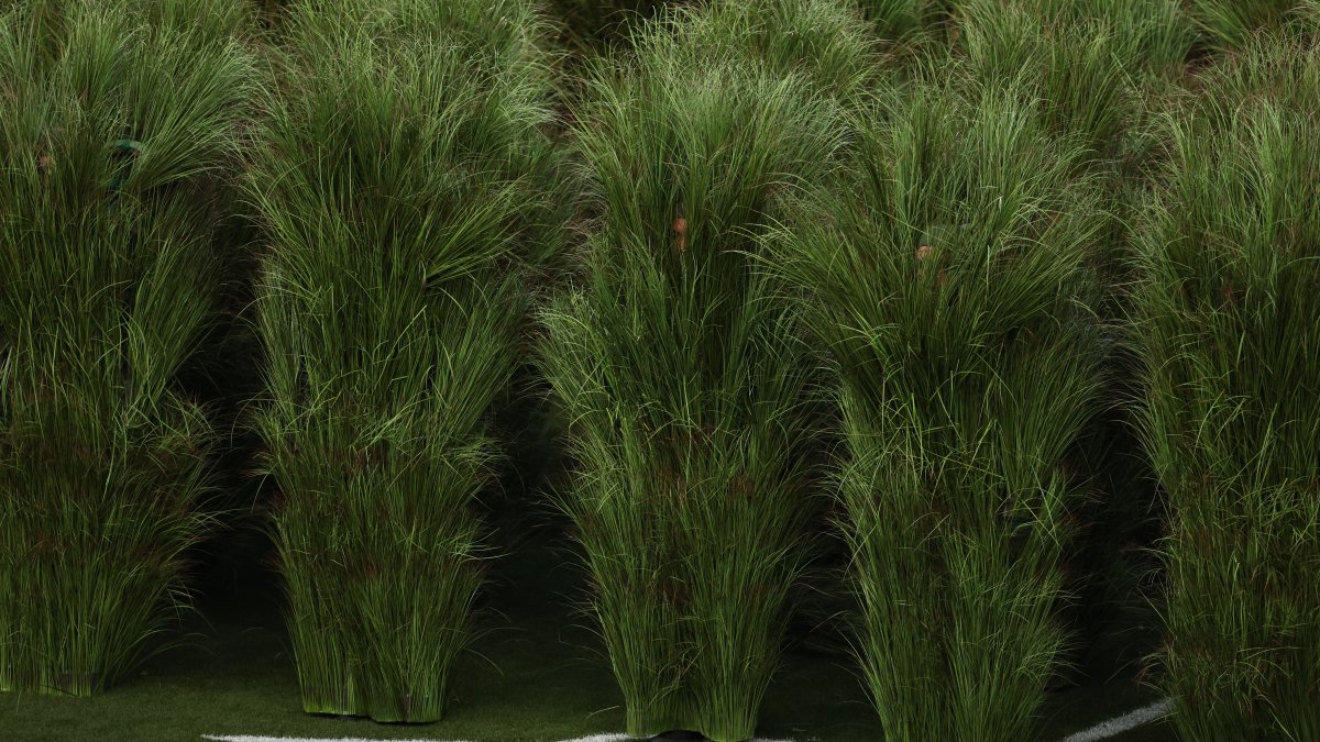 Sugarcane grass costumes worn during Bad Bunny's Super Bowl halftime show for sale on eBay