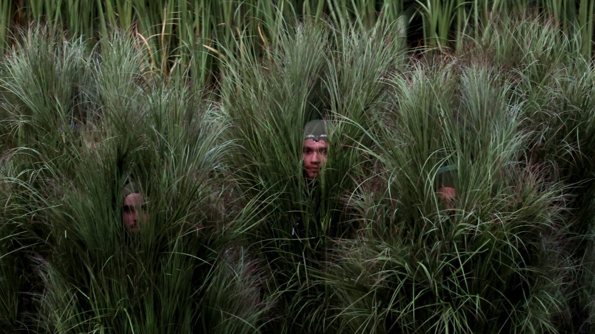 What it was like to be a bush at Bad Bunny’s Super Bowl performance