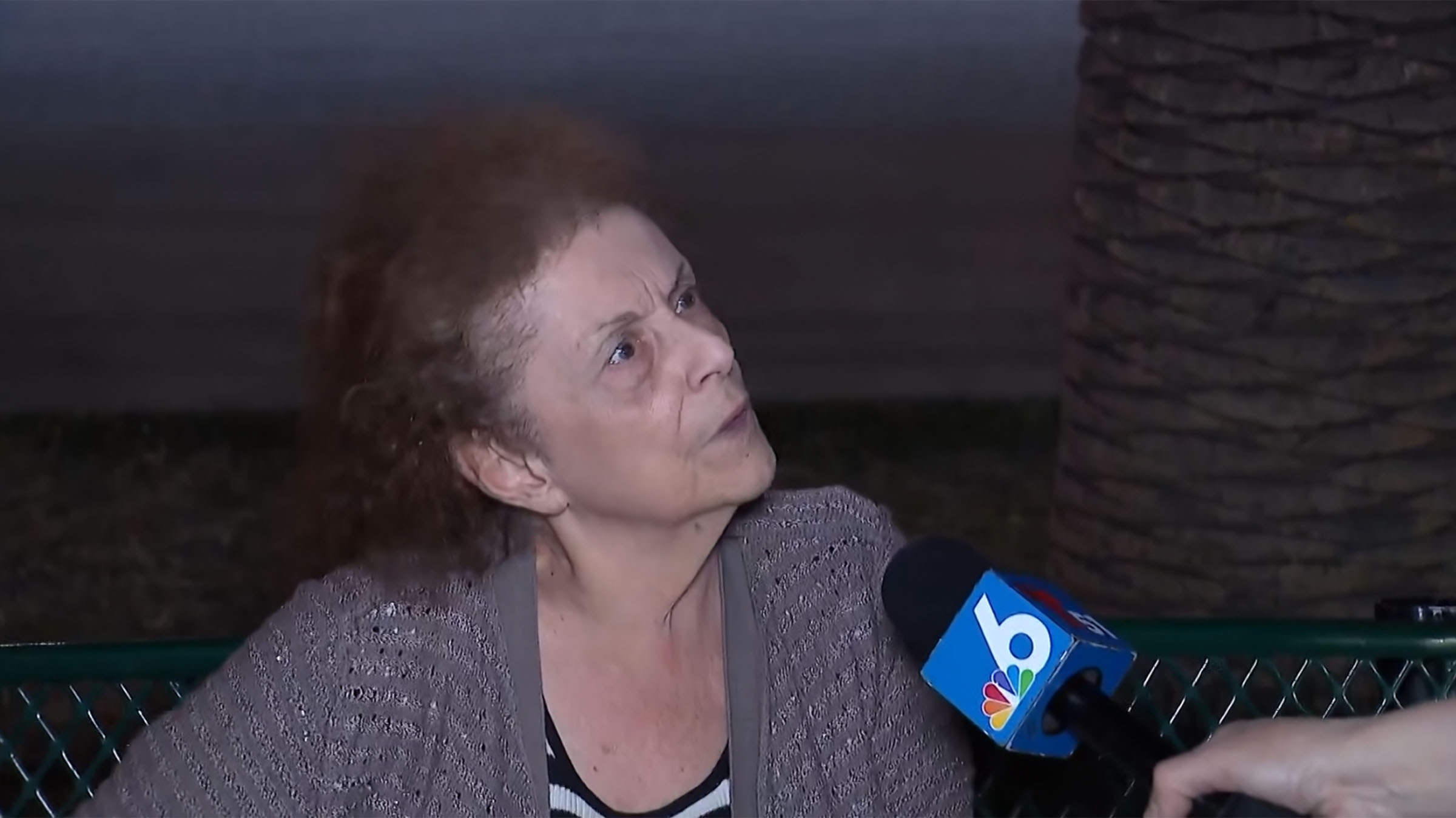 ‘I'm sorry': Woman, 82, speaks out after she allegedly hit child with her car and fled