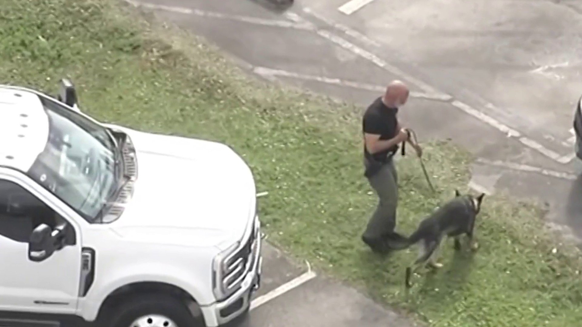 Swatting hoax shuts down Zoo Miami after 3rd day of bomb ...