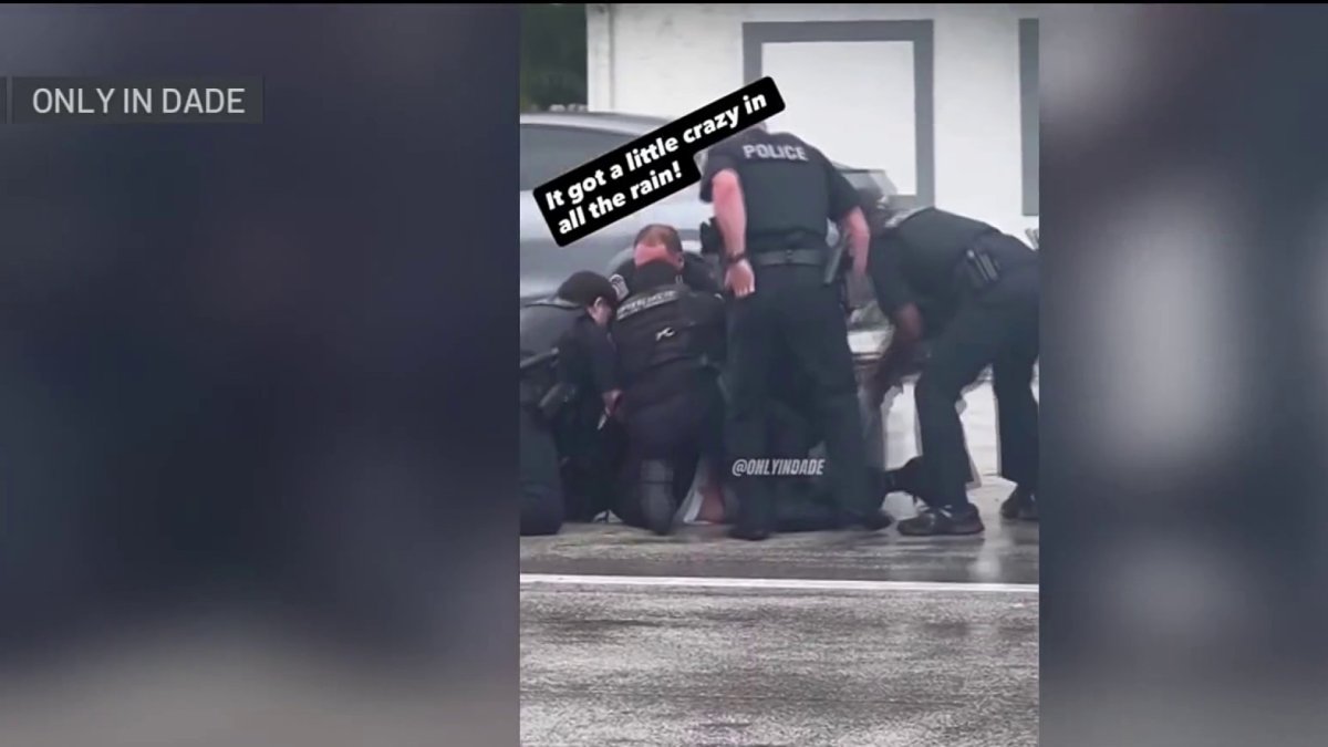 Video shows arrest of lewd and lascivious suspect in Hallandale Beach ...