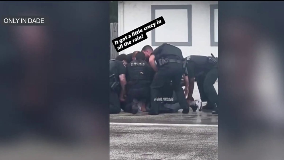 Video shows arrest of lewd and lascivious suspect in Hallandale Beach ...