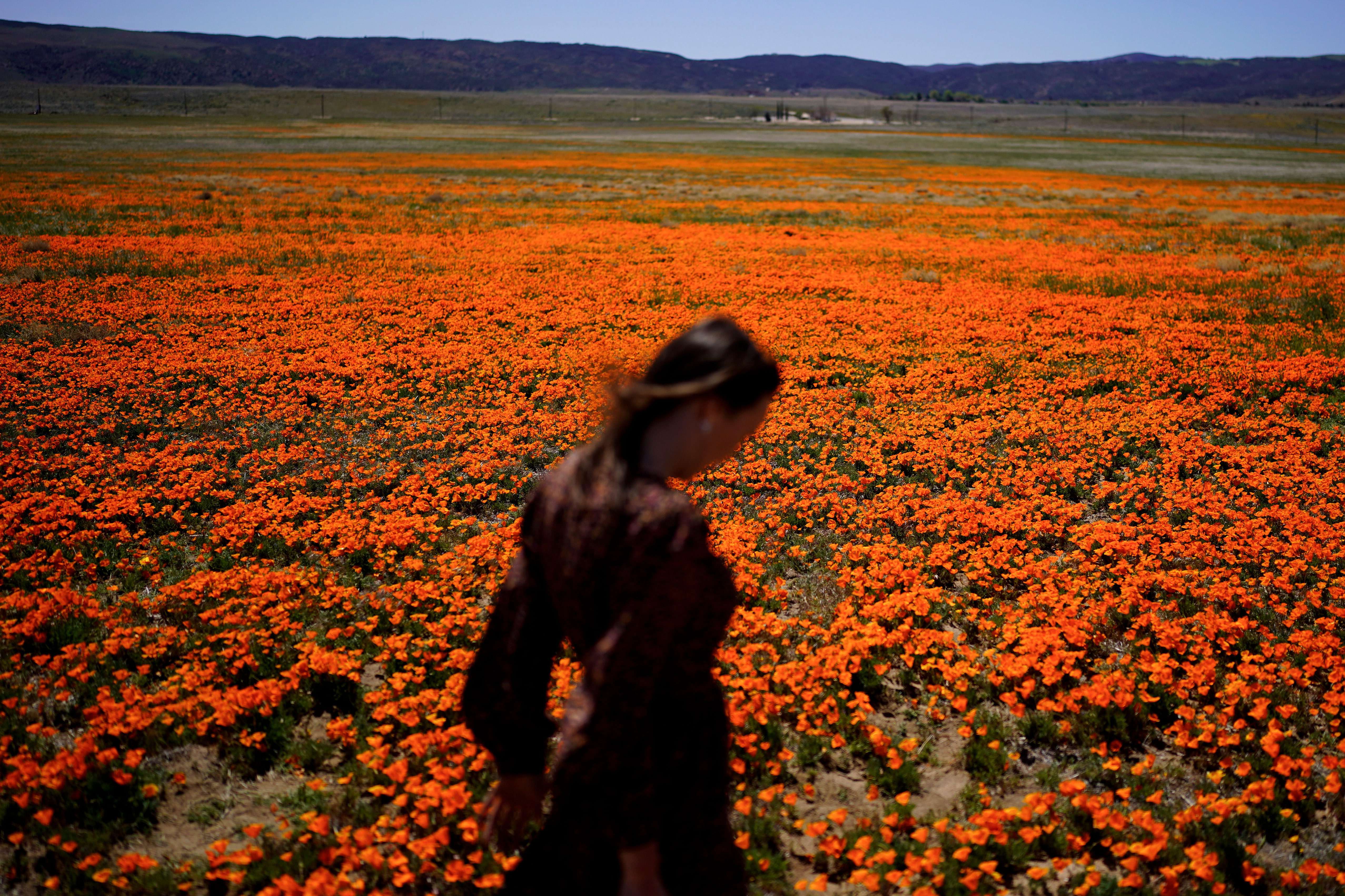 Welcome to allergy season. Here's how to protect yourself