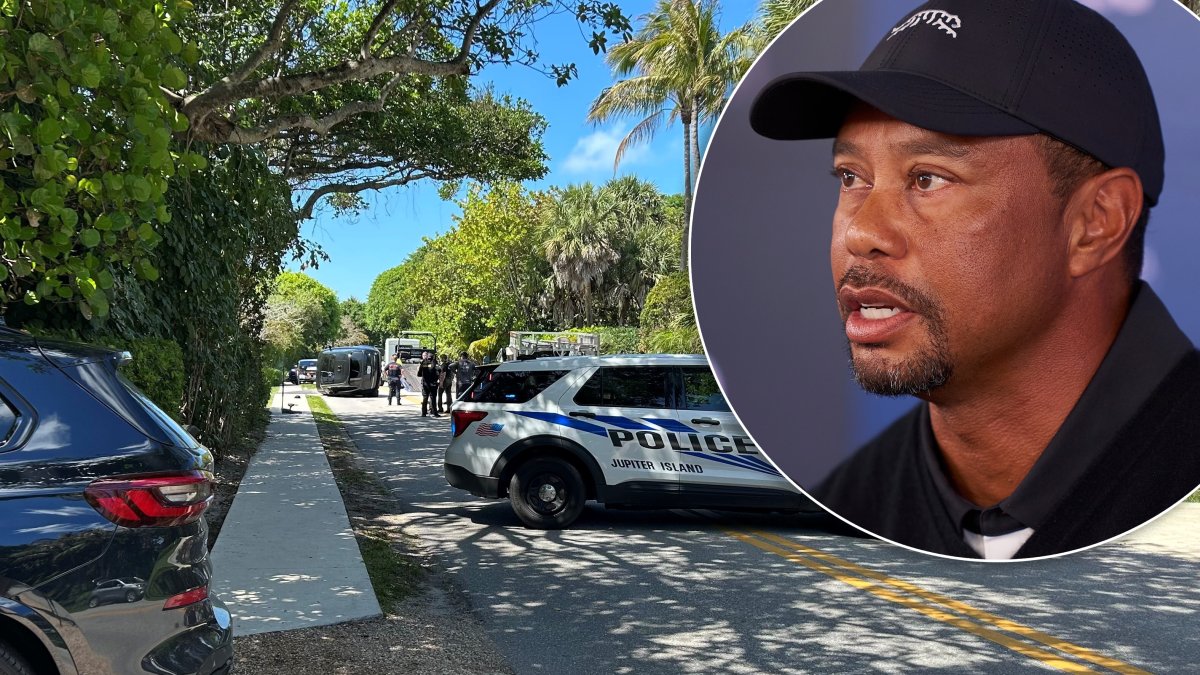 Tiger Woods released on bail hours after arrest at crash scene on suspicion of DUI