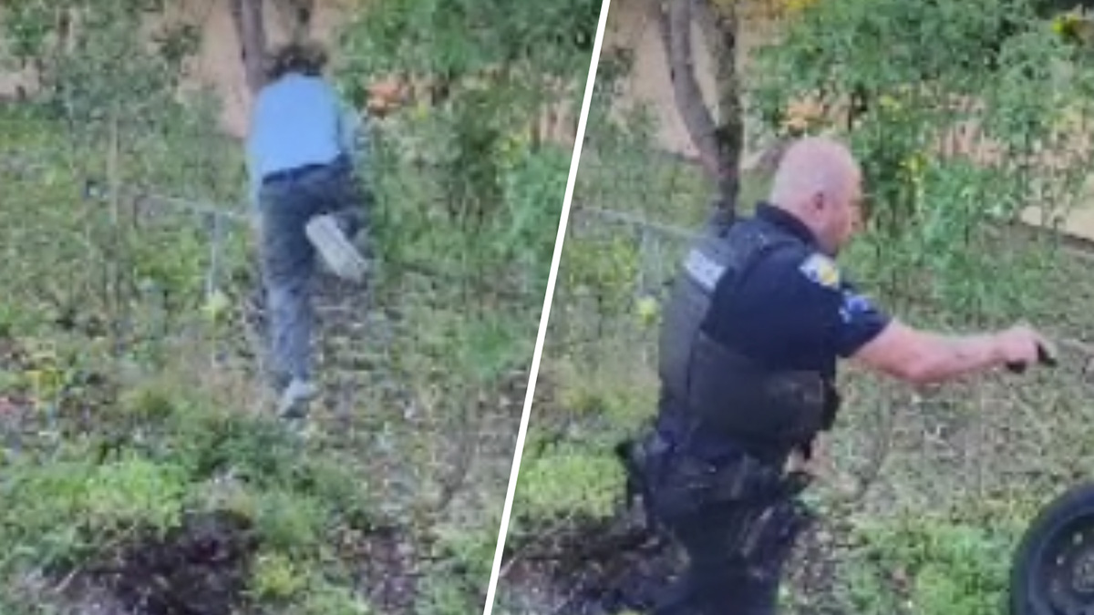 Carjacking suspect fled from officers, crashed in Fort Lauderdale, cops say