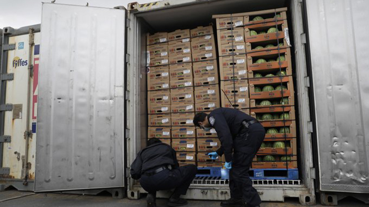 8,500 counterfeit designer perfumes worth $1M seized at Port Everglades, CBP says