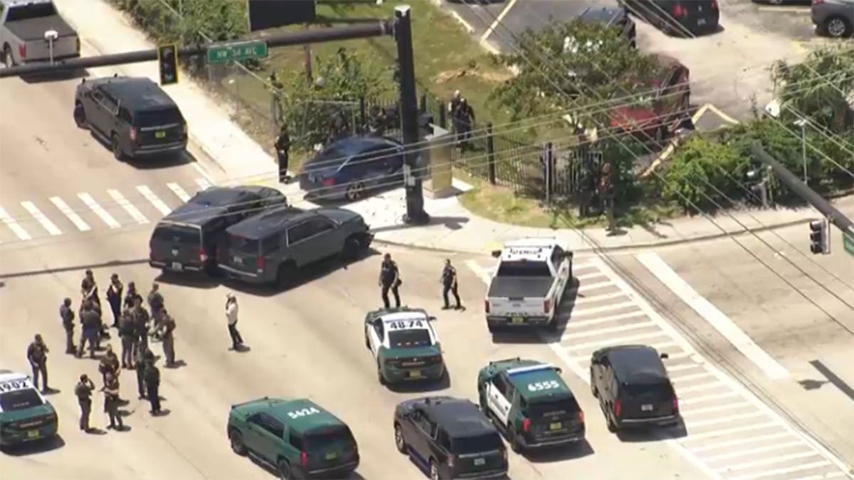 BMW carjacking suspect arrested after PIT maneuver and crash in Lauderhill, BSO says