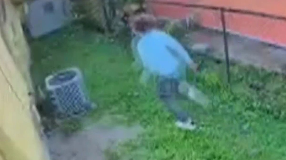 Suspect Running Video shows carjacking suspect running from police after crash β NBC 6 ...