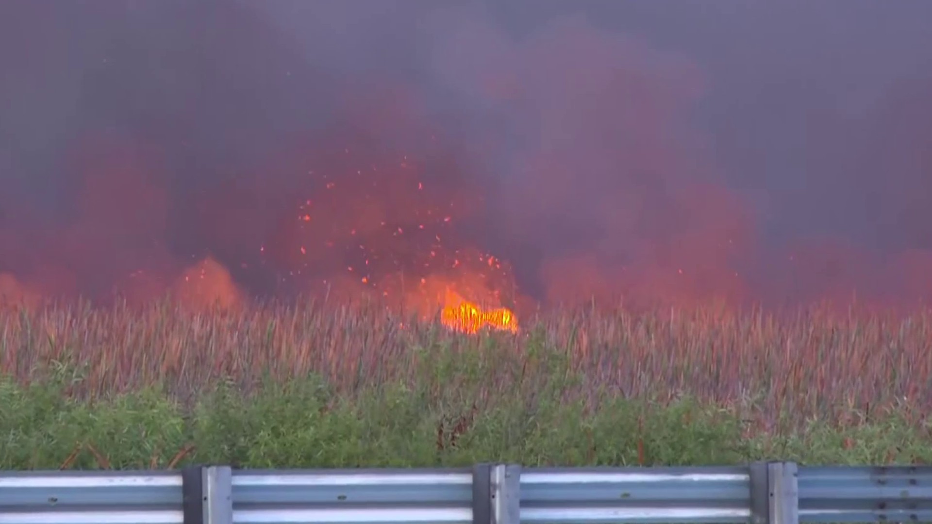 Wildfire burns hundreds of acres south of Tamiami Trail in Miami-Dade