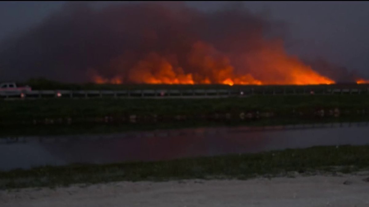 Wildfire burns thousands of acres south of Tamiami Trail in Miami-Dade ...