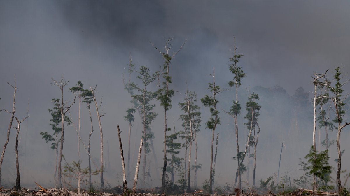 South Florida's worst drought in decades dries up wildlife and water, fuels wildfires