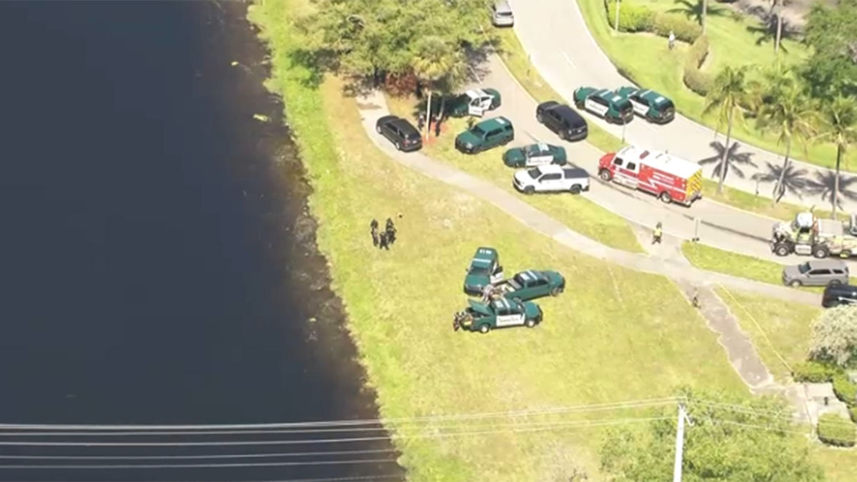 Woman pulled from car after crashing into canal in Pompano Beach, BSO says