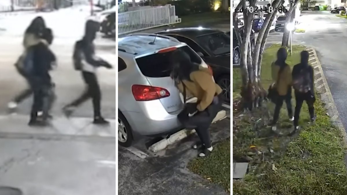 Surveillance shows masked thieves burglarizing 19 cars in northeast Miami-Dade