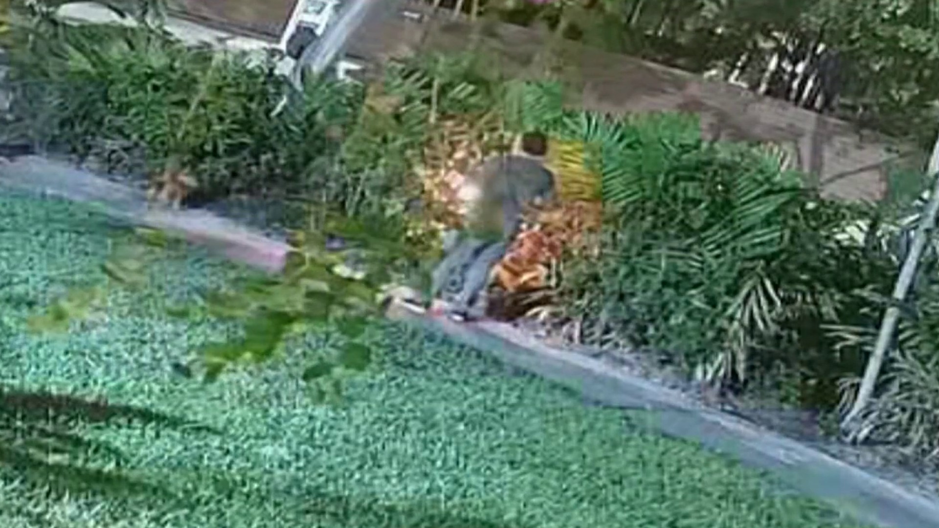 Video shows alleged repeat arsonist start fire in North Miami Beach, cops say