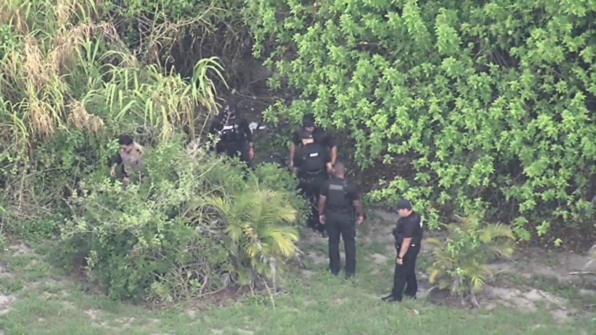 Suspect arrested in low-speed pursuit in Miami-Dade – NBC 6 South Florida