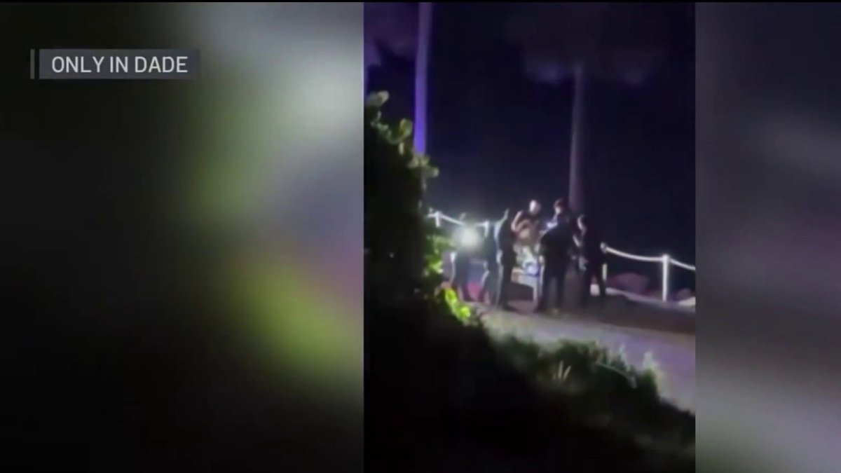 Off-duty officer shoots person in Miami Beach park – NBC 6 South Florida