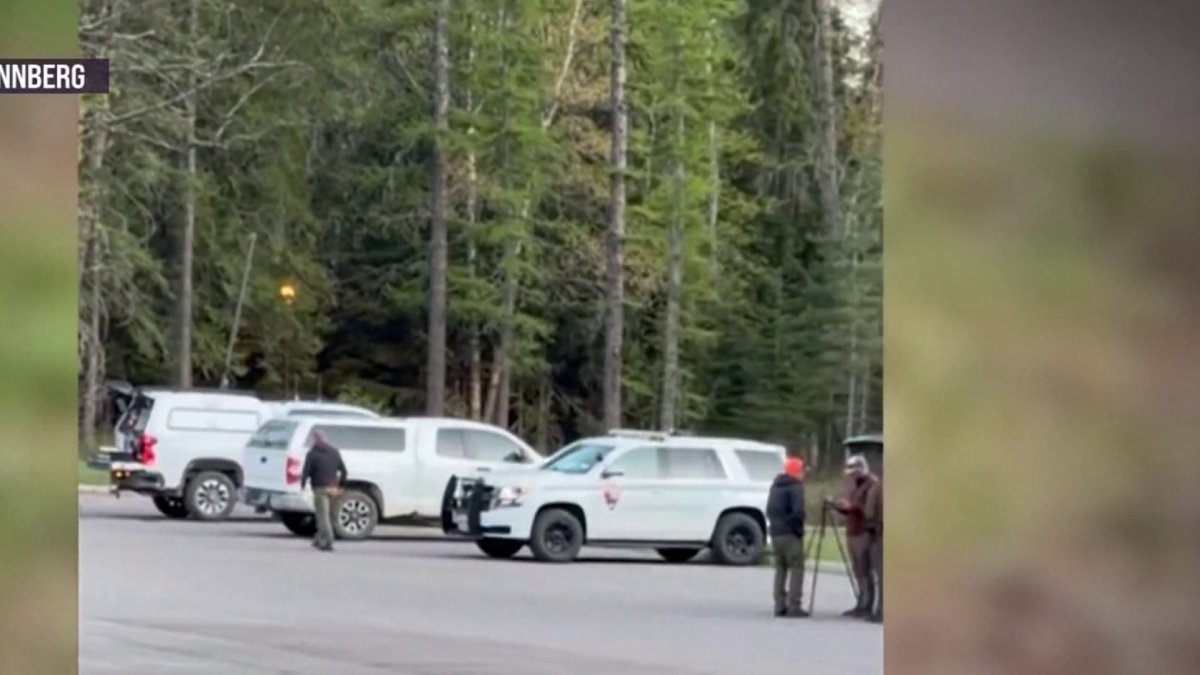 South Florida man killed in apparent bear attack in Montana, report says