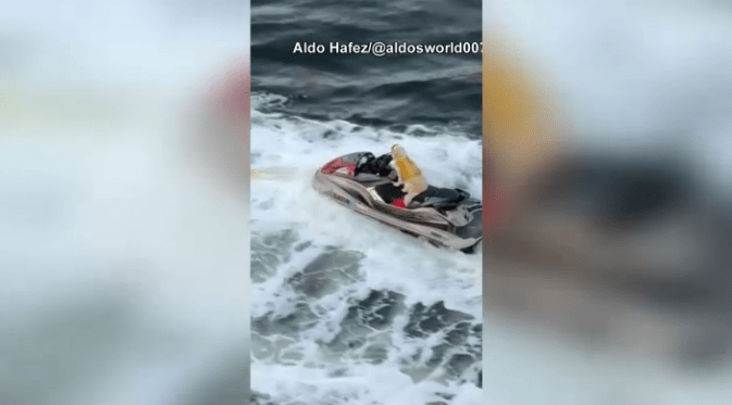 Cuban Truck Driver Found Dead in Georgia After Suspicious Disappearance — image 4