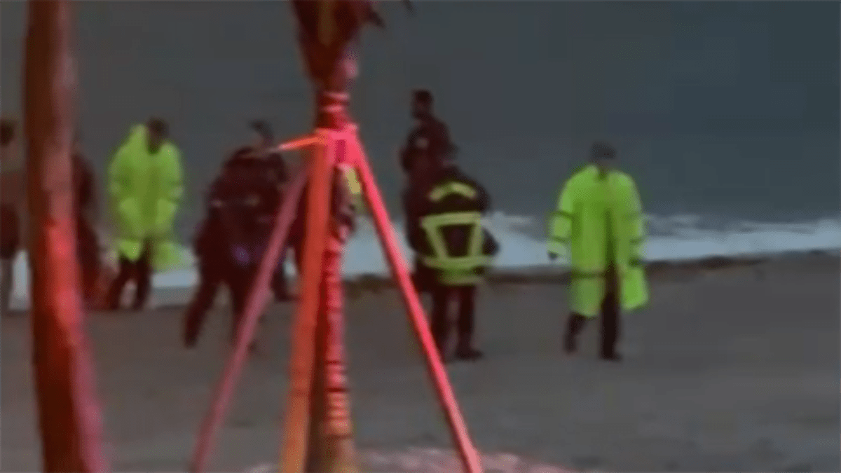 Body found on Hollywood Beach ID'd, believed to be woman who'd been diving, cops say