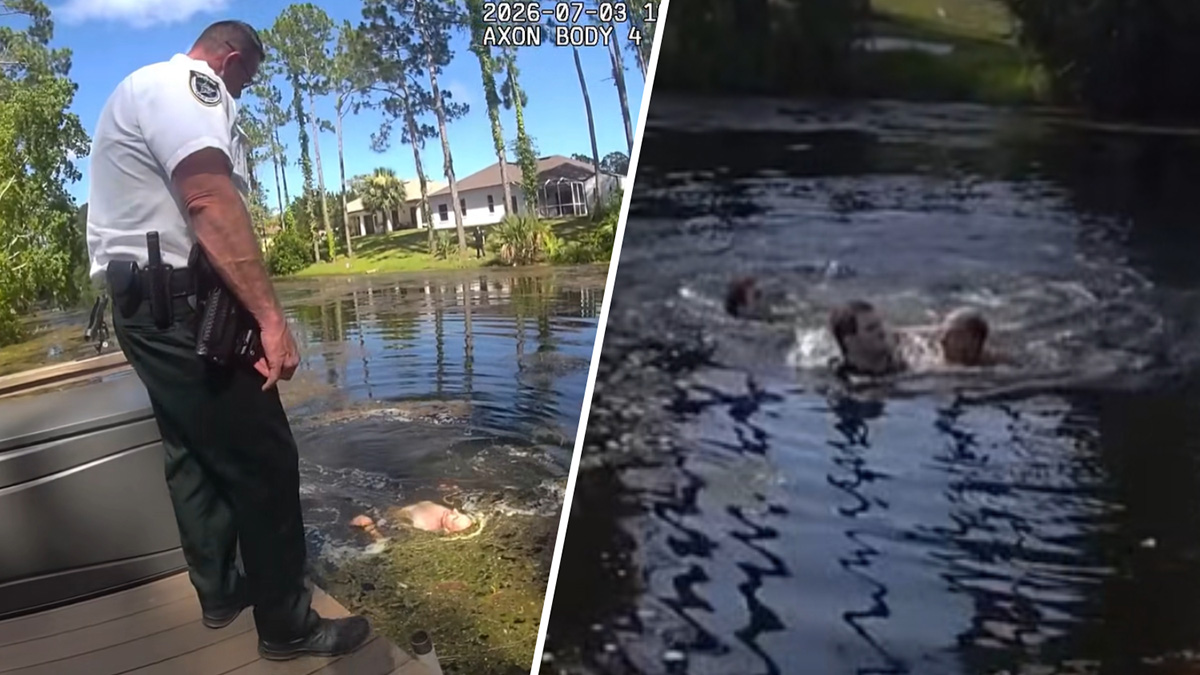 Video shows man attack Florida deputies in snake-and-gator-infested canal, sheriff say...