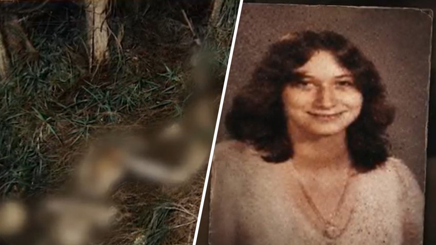 A body found in the Everglades in Broward in 1983 has been identified as Shelia Ann Nichols, Broward Sheriff’s Office officials said.