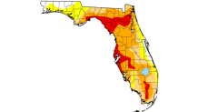 Much of Florida remains in drought following a very dry winter and an unusually slow start to the rainy  season.