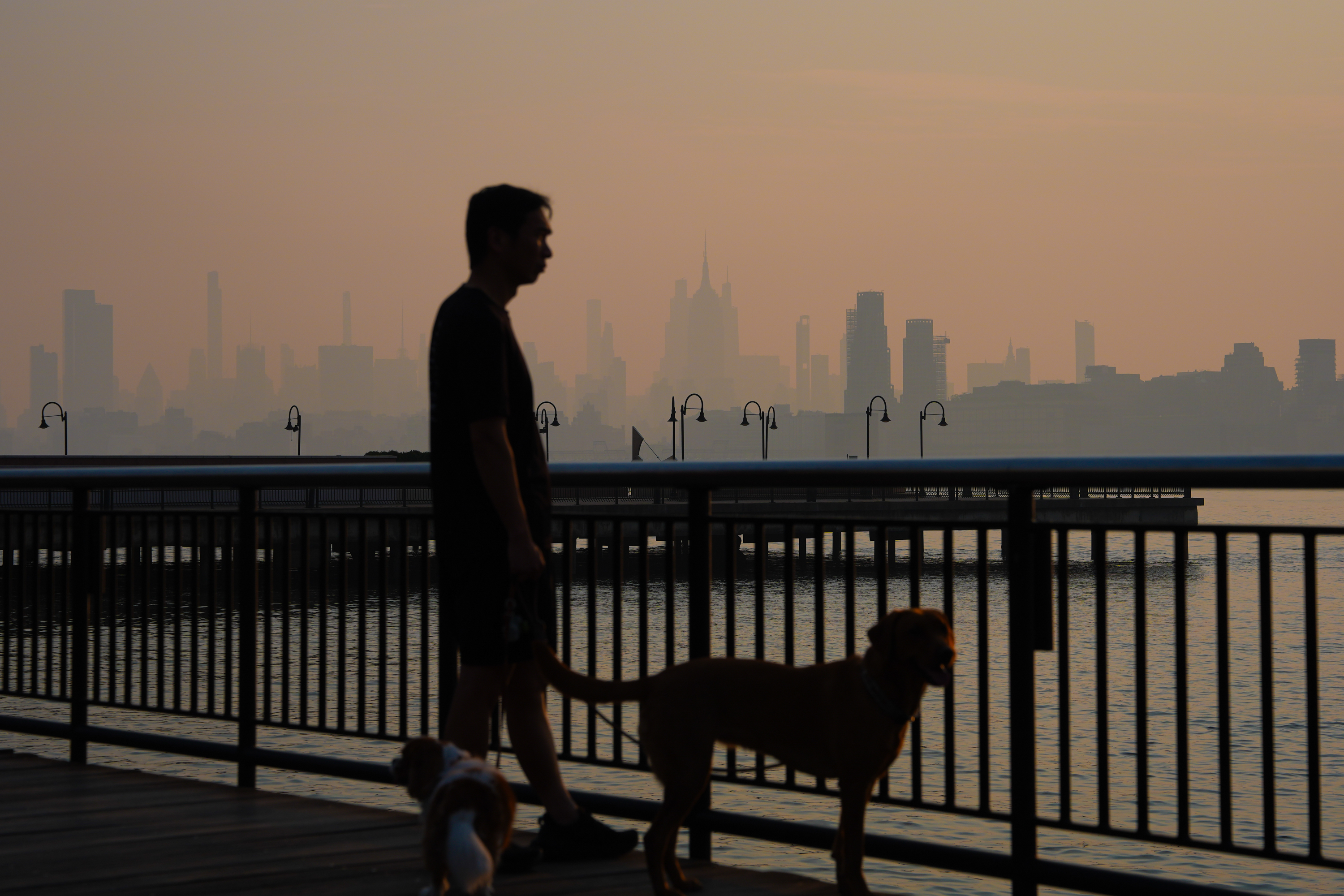 Wildfire smoke kills tens of thousands of people a year. Here's how it attacks the body