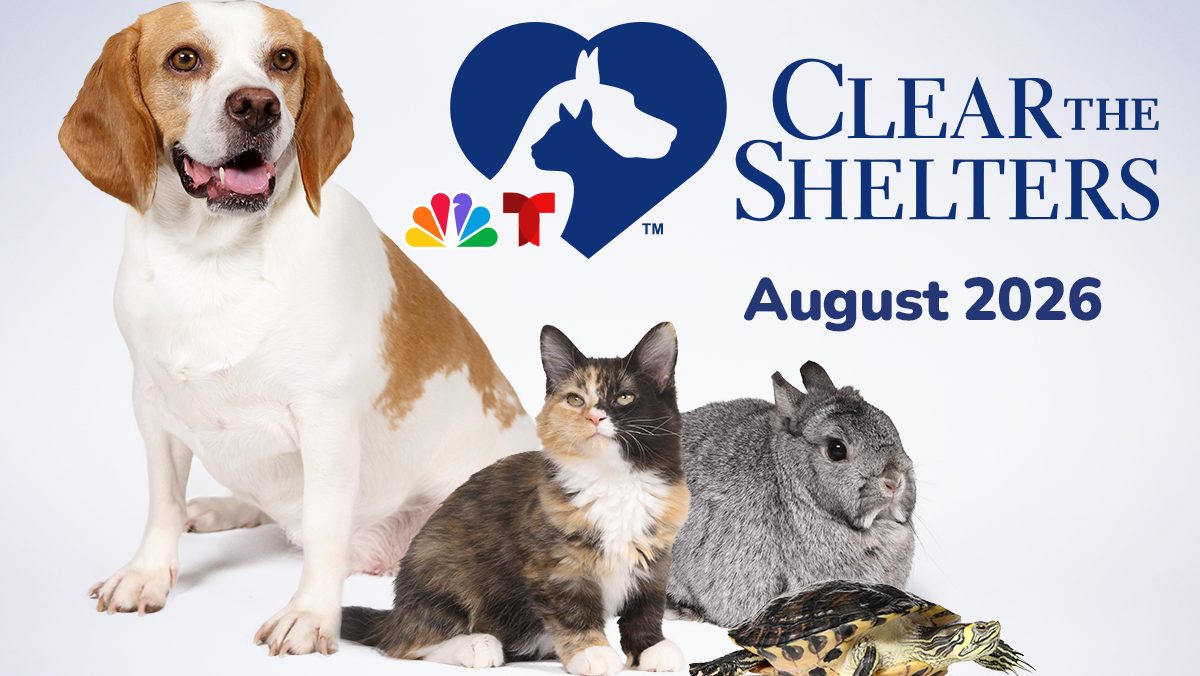 NBC's Clear The Shelters returns for 12th pet adoption and donation campaign