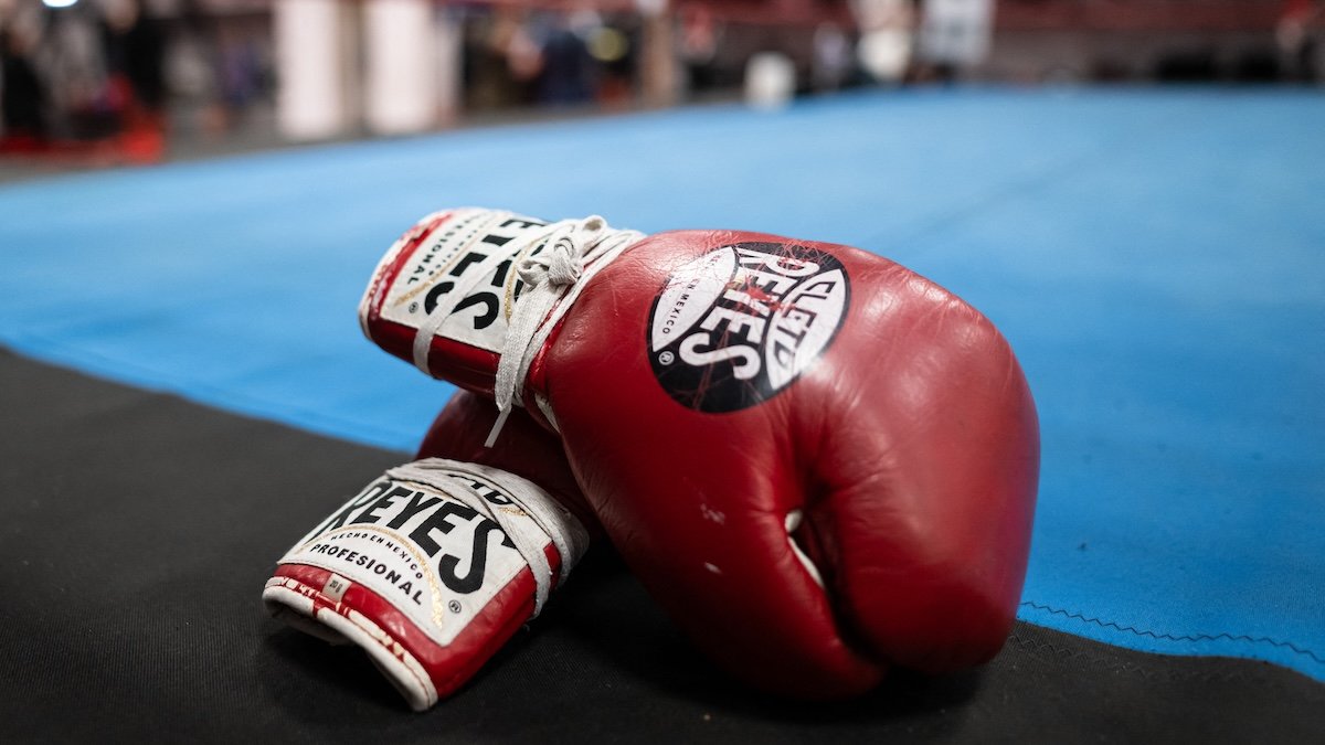 Rising boxer Hannah Rapp killed in Texas after police say driver accelerated in reverse and struck her bicycle