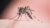 FL health department proposes allowing pharmacists to administer chikungunya vaccine