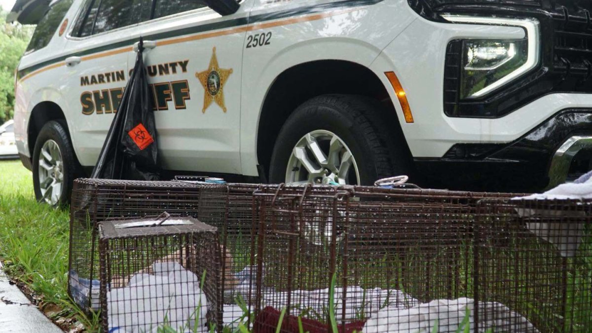 At least 70 cats, dogs found in home of USPS worker who ‘collected' feral animals, MCSO says