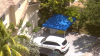 Woman dead after falling from mango tree in Miramar, police say