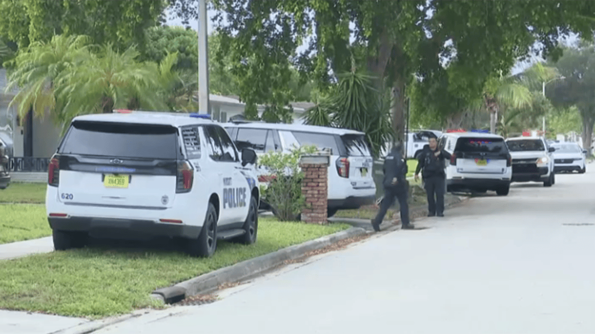 911 calls reveal heartbreaking moments after mom and 2-year-old killed ...