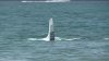 Pilot taken to hospital after plane crashes offshore in Boca Raton, police says