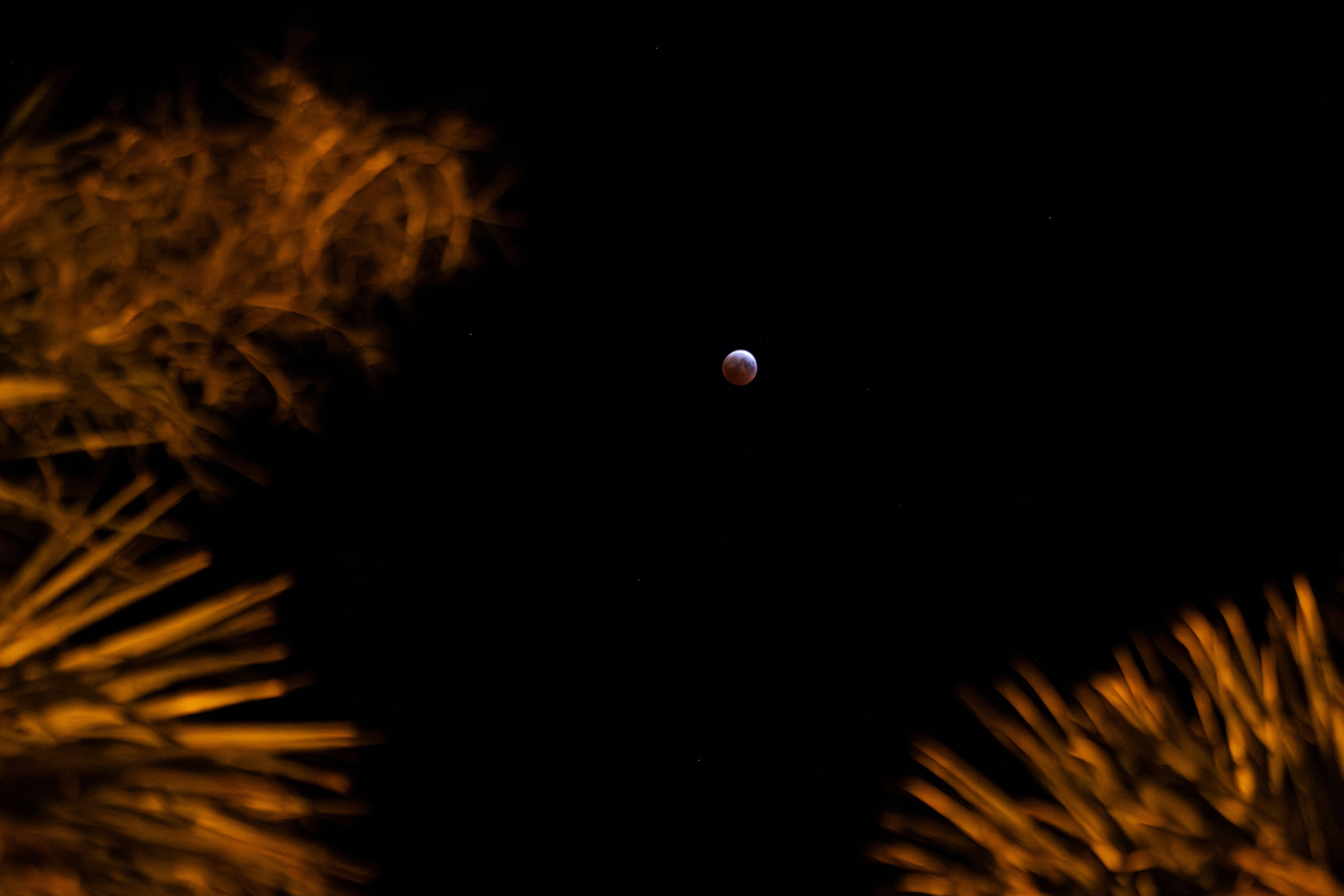 Near-total lunar eclipse expected to shine over South Florida skies