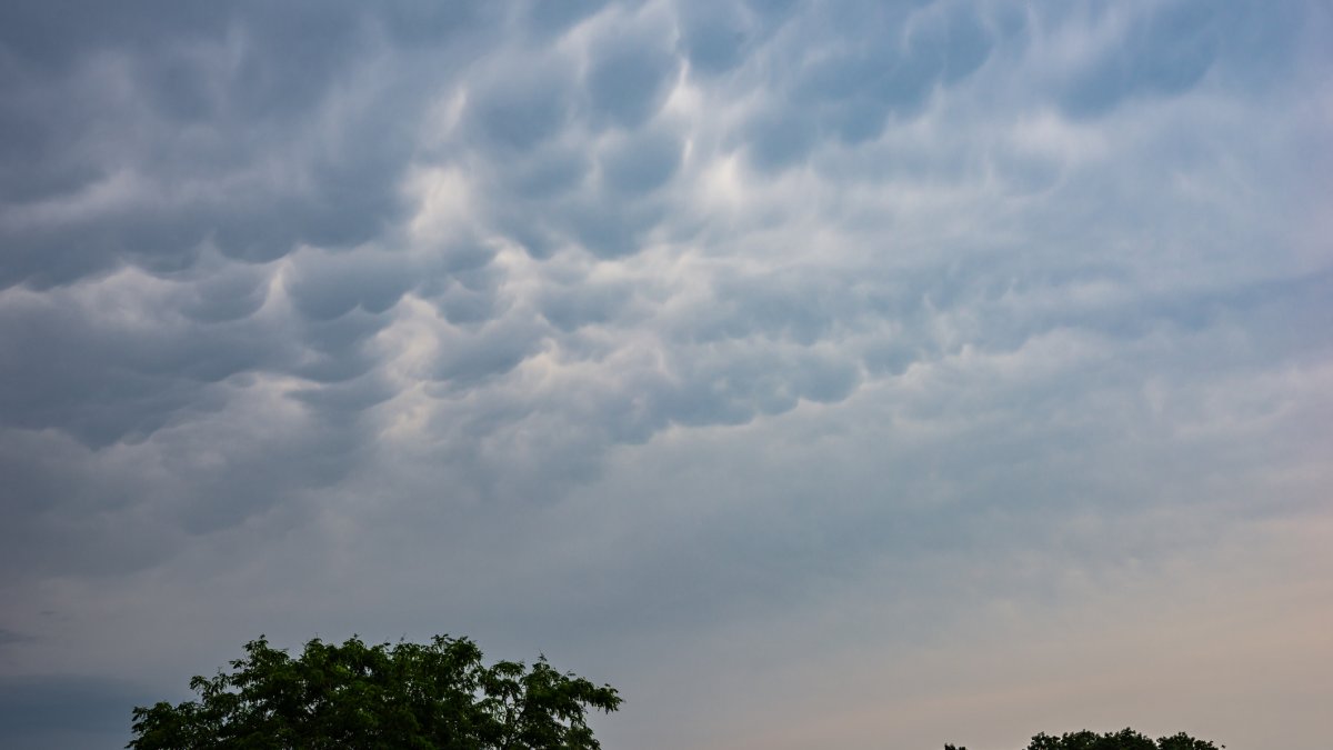 They look like bubbles in the sky. What mammatus clouds really mean