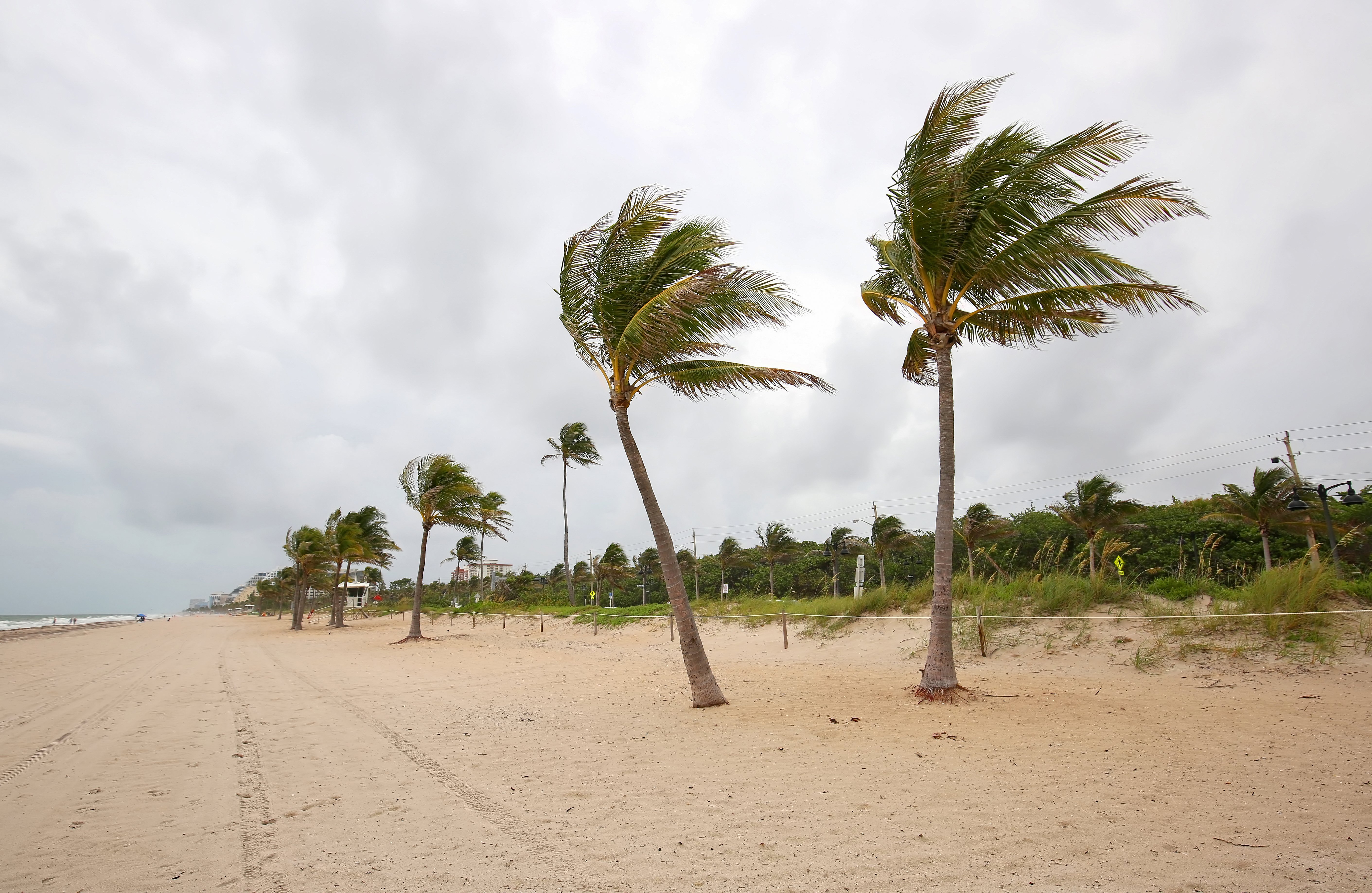 LIVE RADAR: Scattered showers drench South Florida, more rain is expected