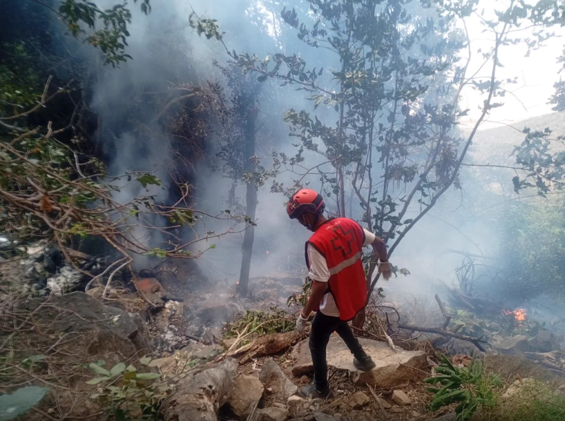 Helicopter crash in Kenya kills four Americans, U.S. State Department says