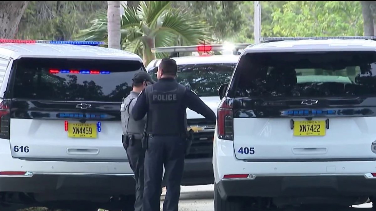 Mother and daughter, 2, fatally struck by lightning in Margate, police say