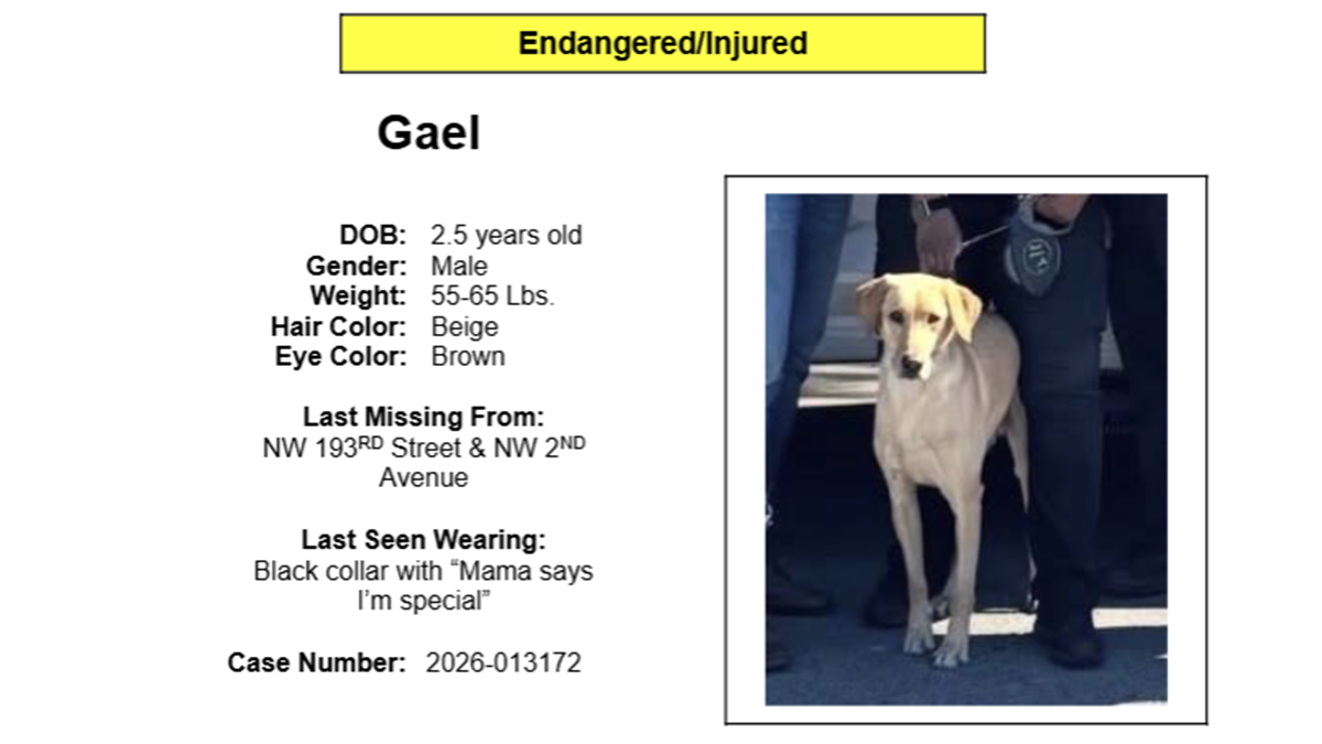 Miami Gardens Police searching for missing K-9 that was struck by car