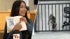Woman who called 911 after neglected dog seen on Miami high-rise approved to adopt it