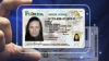 New Florida's driver's license features gator, Space Shuttle, ‘Let Us Alone' motto