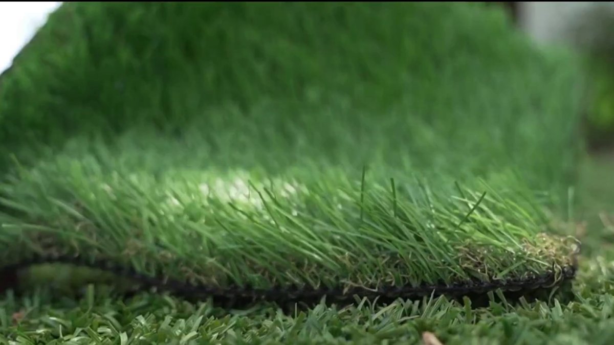Should South Florida schools use real grass or artificial turf? The choice is about more than looks – NBC 6 South Florida