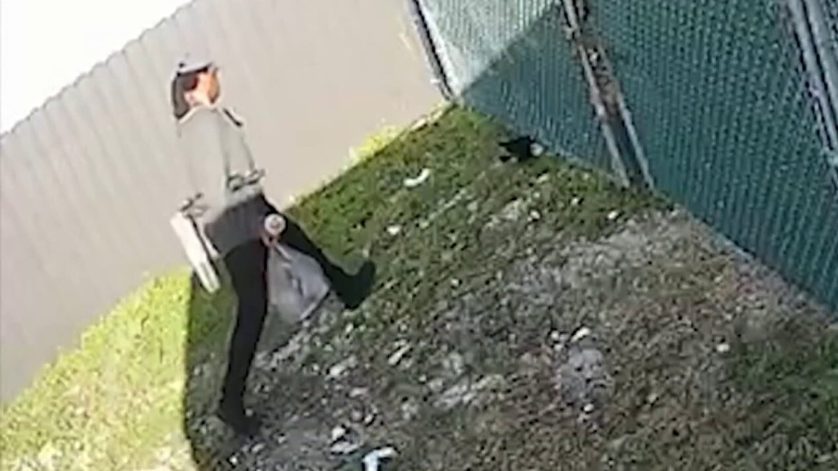 Suspect in duck killing caught on camera in Pembroke Pines in custody, cops say
