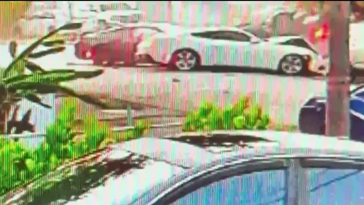 Man who fled deputies facing vehicular homicide in crash that killed artist, MDSO says
