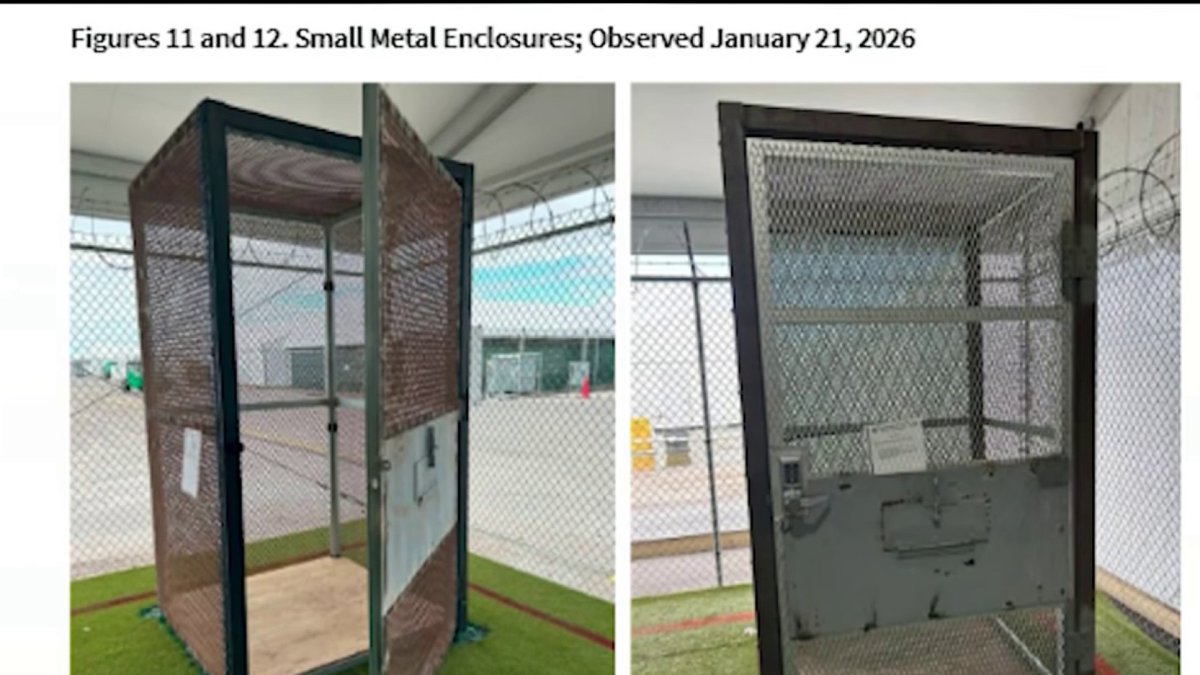 Immigrants held inside small cages at ‘Alligator Alcatraz,' report says