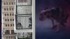 Dog owner arrested after neighbors at Miami high-rise express concerns, animal services says