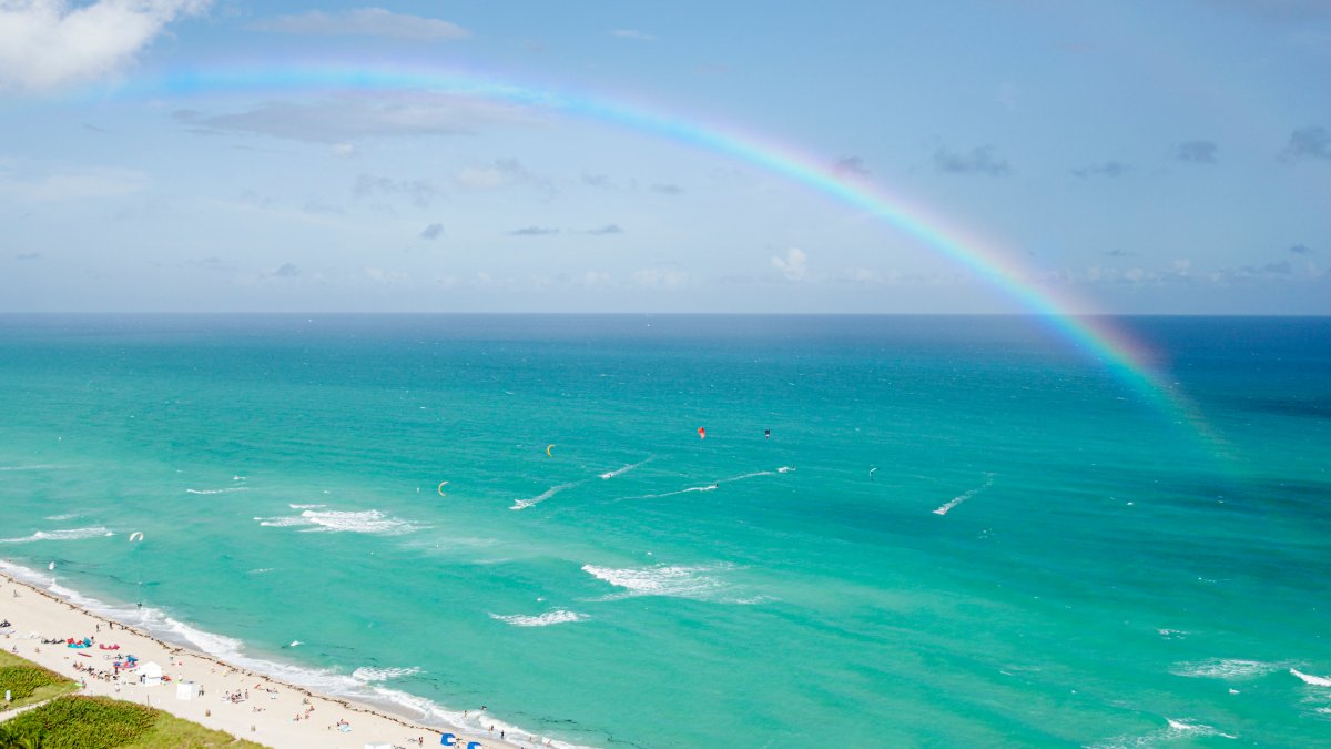 Do you see a rainbow after a storm? It's actually a trick of light. Here's how it works