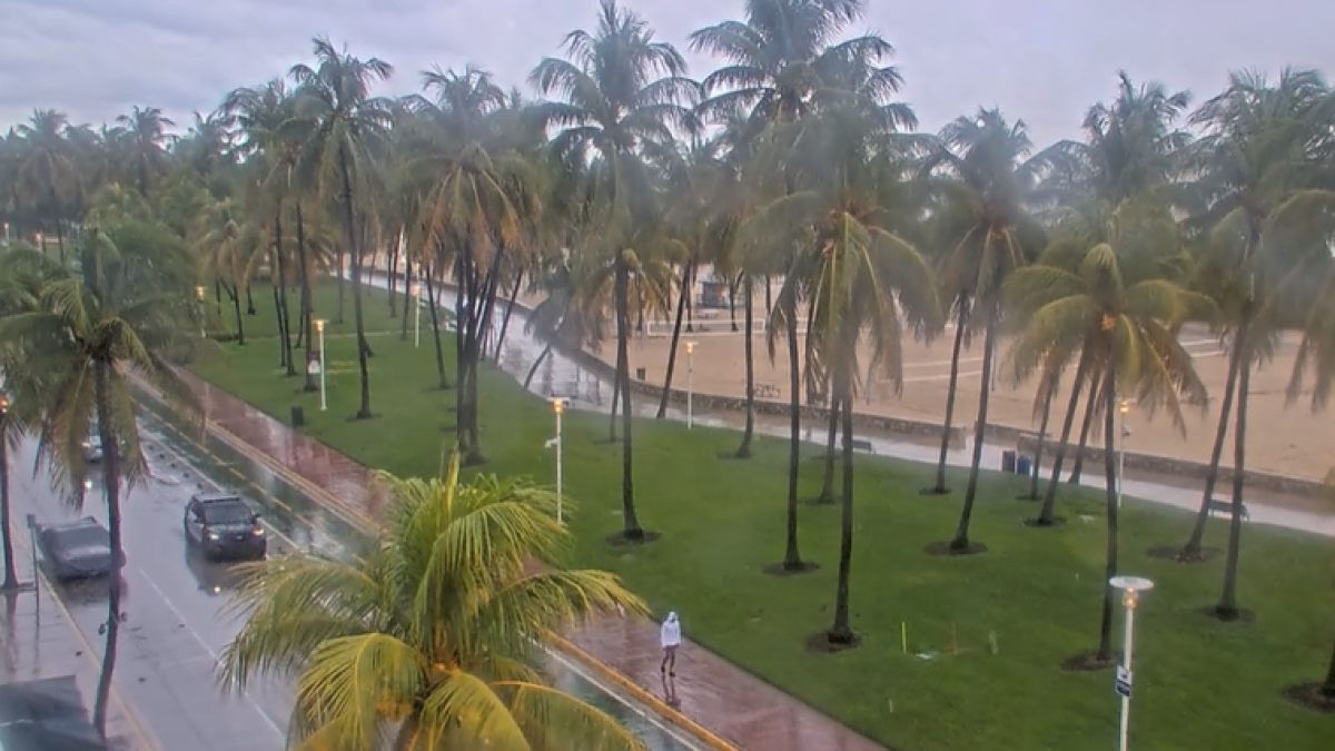 LIVE RADAR: South Florida storms in the Thursday forecast