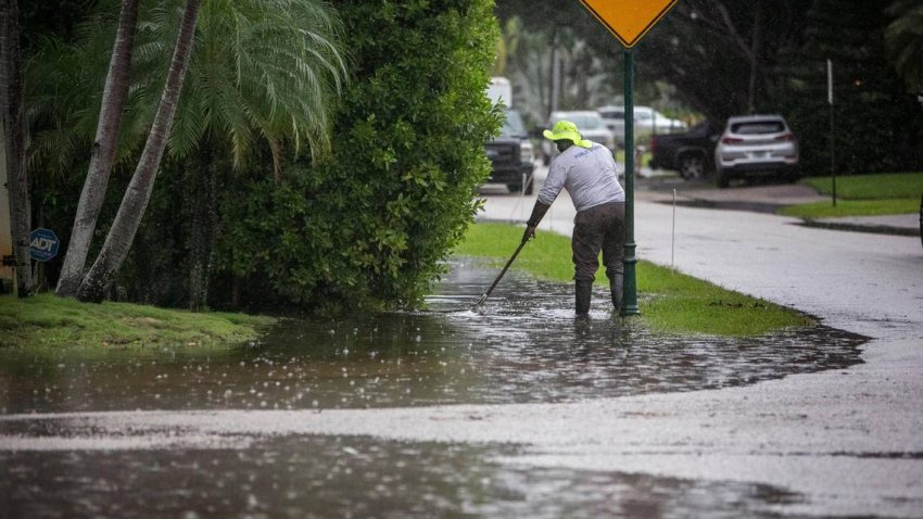 A Miami Shores public works employee works in the rain on Nov. 5, 2021, clearing drains and pumping floodwater in the Shores Estates neighborhood along Northeast 105th Street in Miami Shores. Miami Shores had cautioned drivers that flooding may occur because of king tides.
